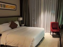 -深圳湾科技园丽雅查尔顿酒店