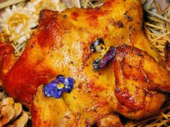 -Hi City·城市之巅