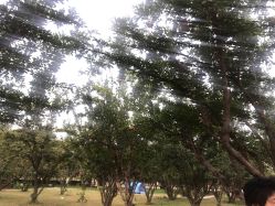 -上美四季动物农场