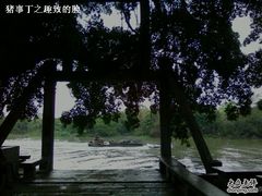 -小洲村