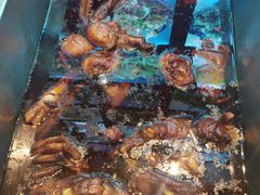 -丽丽水煮(顺外路店)