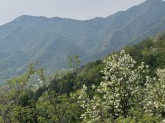 -北京鹫峰国家森林公园