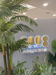 -八佰伴8008星级形象店