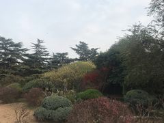 -济南南郊宾馆