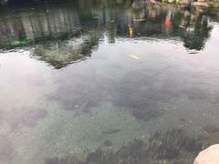 -富士山吉田線五合目