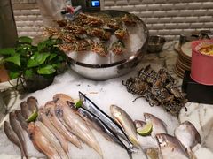 -沈阳和平艾美酒店新食谱西餐厅