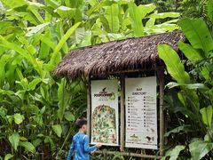 -大象粑粑造纸公园