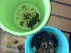 -青岛银沙滩温德姆至尊酒店
