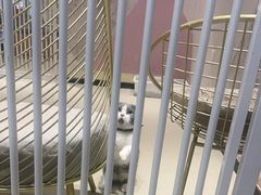 -藏猫猫咖啡主题馆(中央大道店)