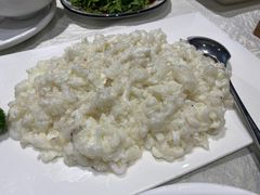 -丁老爷子苏香圆