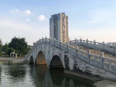 -飞来湖湿地公园
