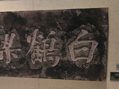 -白鹤梁水下博物馆