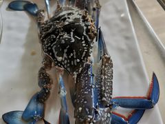-越百海海鲜蒸锅(乐山店)