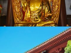 -亚龙湾热带天堂森林公园