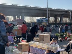 -中环花鸟鱼虫市场
