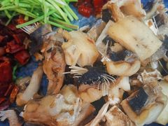 -浩运·海鲜青岛菜·海胆水饺(石老人店)