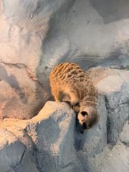 -Zoolung Zoolung动物主题公园(海信广场店)