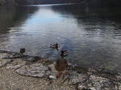 -柯尼希湖