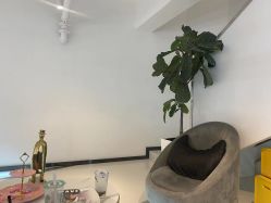 -I+造型烫发染发
