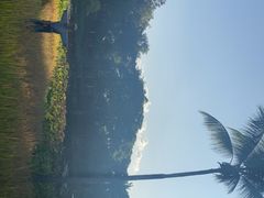 -四季酒店下午茶