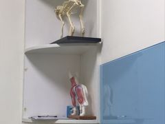 -希望动物医院(汉阳院)