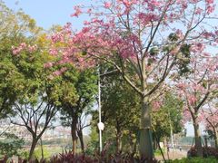 -风云岭森林公园