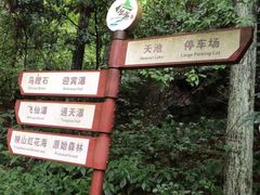 -麻城大别山桐枧冲瀑布群风景区