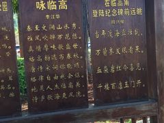-临高角