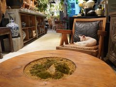 -自由生长植物工作室(深港花卉中心店)