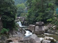 -花岩国家森林公园