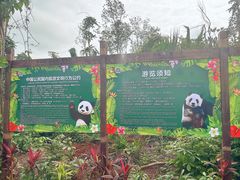 -海南热带野生动植物园