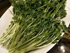 -金筷子西北菜·捞悦火锅