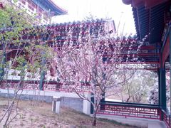 android_upload_pic-北京园博大酒店