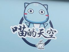 -喵的天空名猫咖啡馆·撸猫·猫舍·用品
