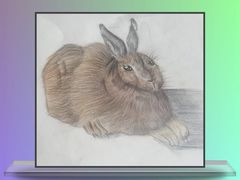 -缤纷鸟美术书法(建大校区)