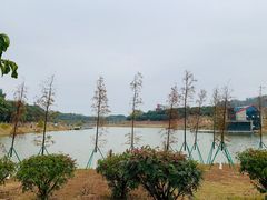 -东莞植物园