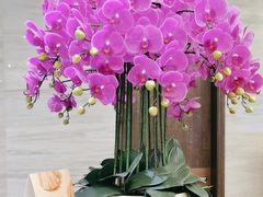 -上海小南国(国发店)