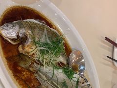 -益利大酒楼(井岸店)