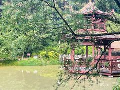 -铁山坪森林公园