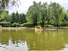 -团结湖公园