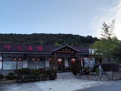 -呼吸森林·生态农庄农家乐私房菜