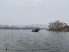 -洋湖国家湿地公园