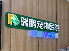 -瑞鹏宠物医院·夜间急症·心超·猫科(祖庙分店)