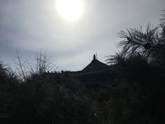 -长安寺