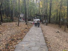 -帽儿山风景区