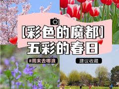 -花开海上生态园