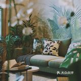 绿色家居~小户型绿植搭配清新怡然之家[吐][吐]