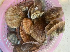 -港畔赶海蒸汽海鲜烧烤自助(仙螺岛店)