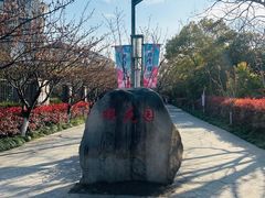 -高东镇樱花园