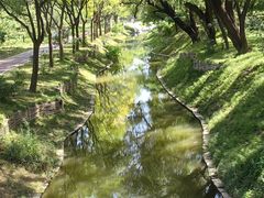 -北坞公园